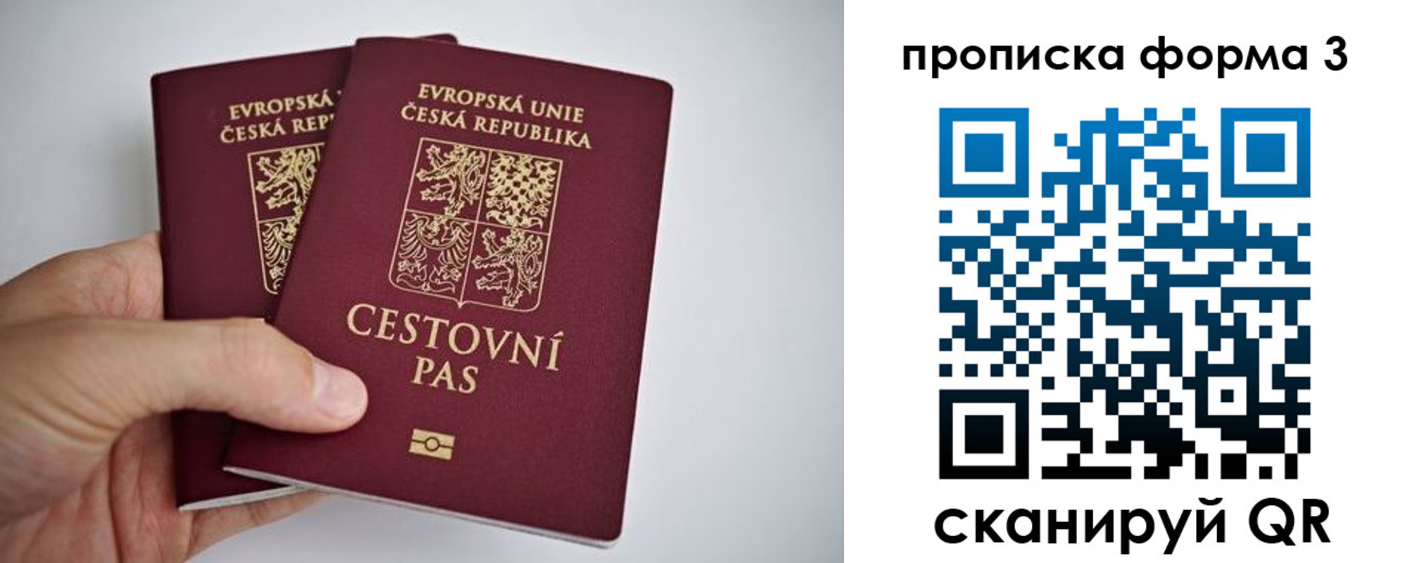 регистрация для школы в Павловске